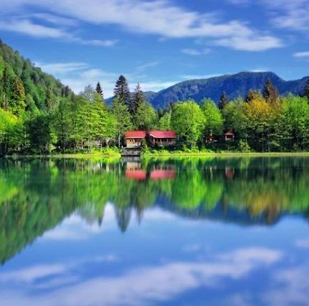 Silindi!!! Otel Lerik Dış mekan fotoğraf